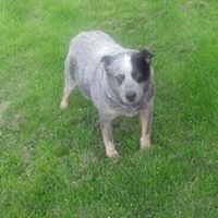 Nancy Faber Photo 23 Nancy Faber Photo 23