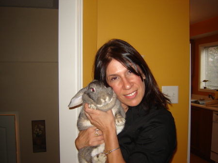 Suzanne Rodrigues Photo 14