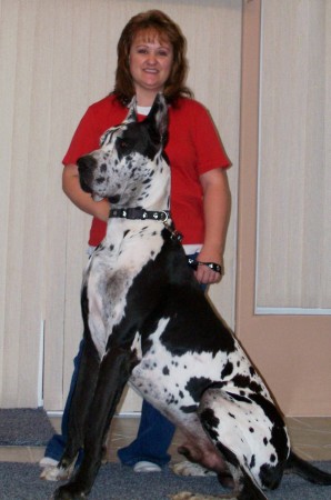 Donna Riddle Photo 25