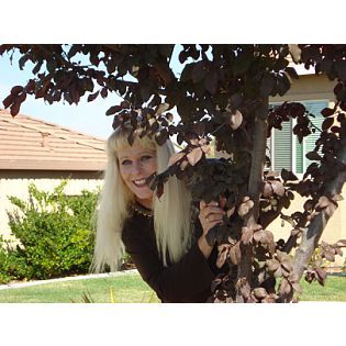 Cynthia Holton Photo 1