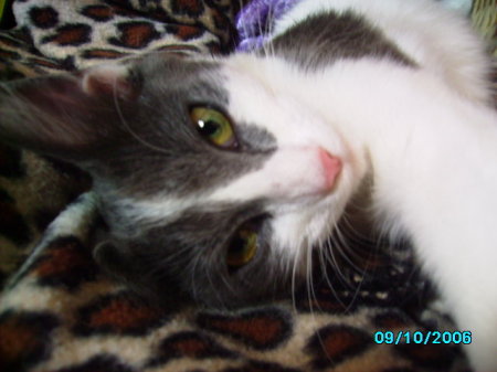 Dawn Nelson Photo 30