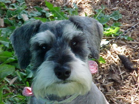 Theresa Bates Photo 15