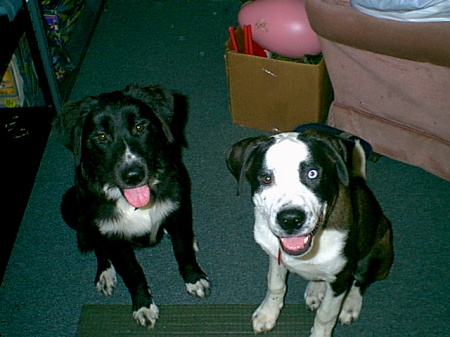 Joann Brooks Photo 9