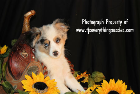 Marilyn Burrows Photo 3