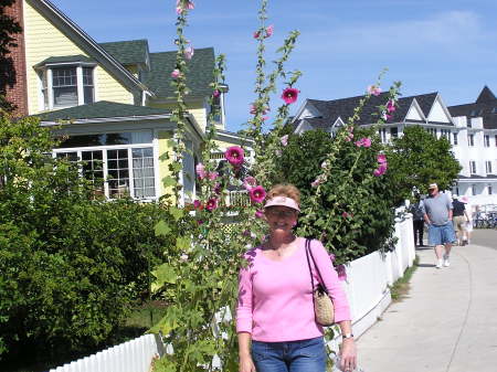 Shari Samuelson Photo 2