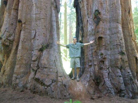 Stephen Pete Photo 11