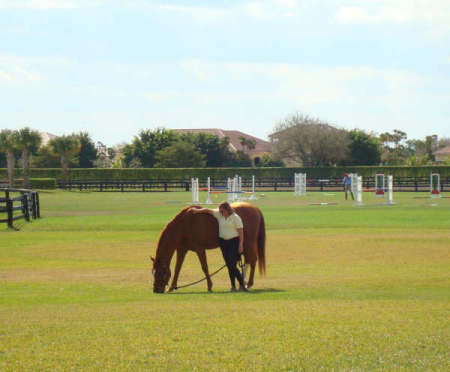 Jennifer Tavitian Photo 1