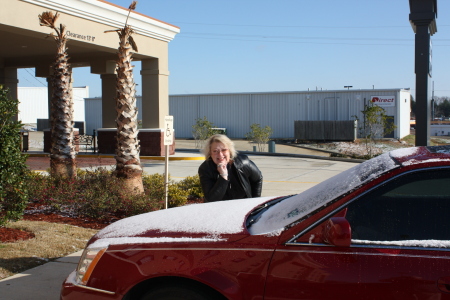 Cynthia Brewster Photo 5