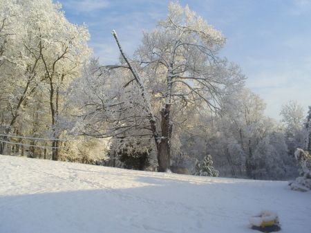 Cheryl Saxton Photo 8