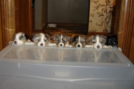 Cynthia Danley Photo 4