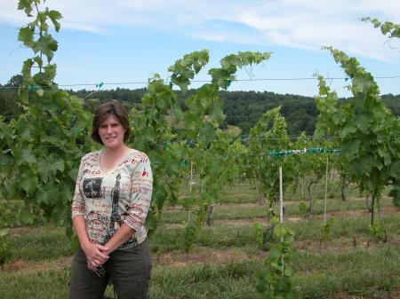 Sandra Stillerman Photo 2