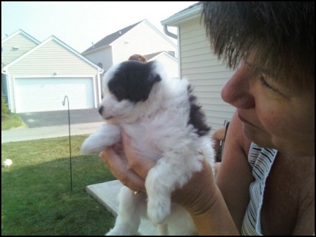 Christine Holcomb Photo 8