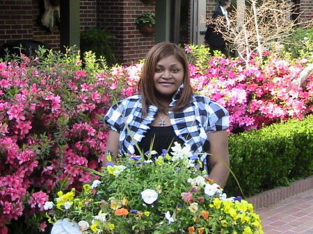 Stephanie Gipson Photo 15