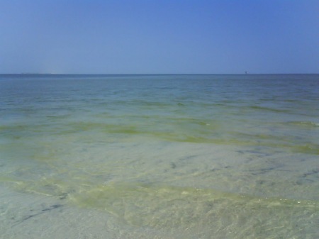 Margaret Scanlon Photo 20