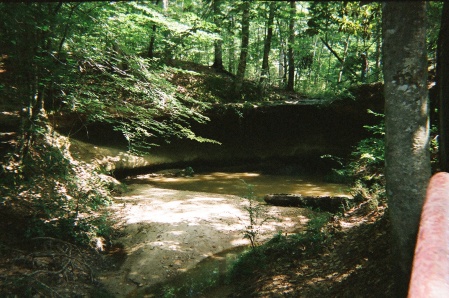 Lee Ward Photo 16