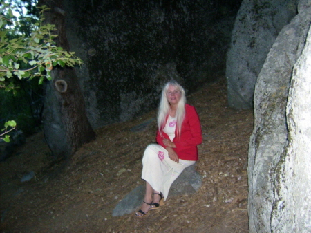 Nancy Seitz Photo 22