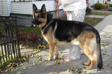 Kathleen Zeller Photo 3