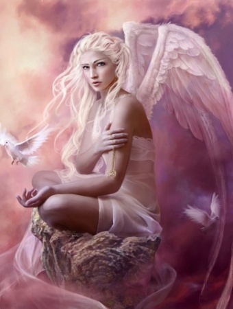 Jeannette Wester Photo 1