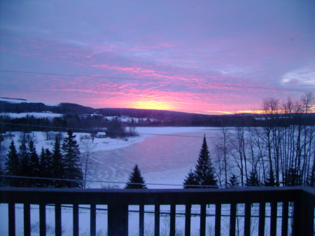 Susan Trimble Photo 13