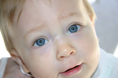 Connie Oliver Photo 27