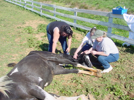 Patricia Shumate Photo 12